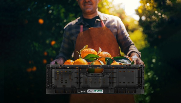 JPEG - 73.6 kio